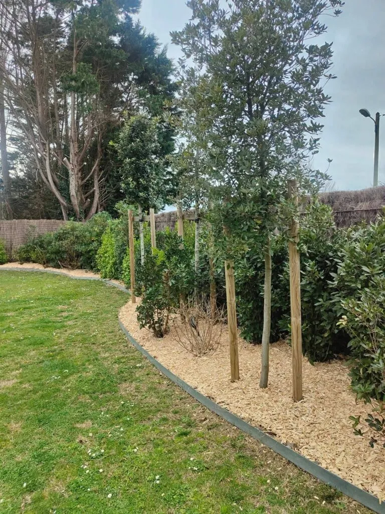 amenagement-jardin-plantation-arbres-seignosse