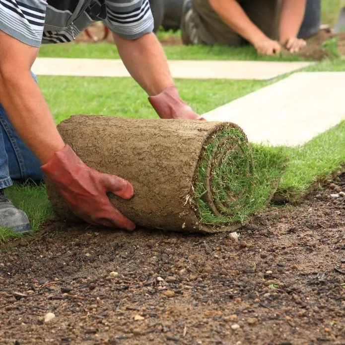 amenagement-jardin-pose-gazon-moliets