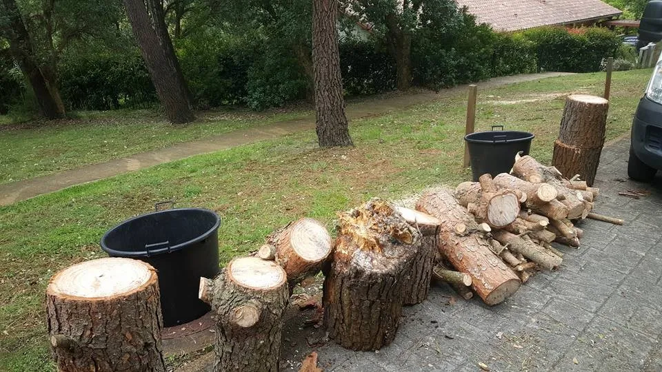 elagage-evacuation-dechets-verts-landes