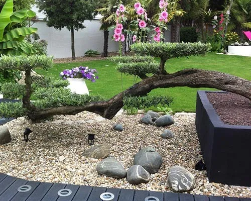 entretien-jardin-fleuri-entretien-capbreton