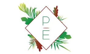 logo-partenaire-pe
